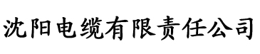 八戒有戏电影出品方电缆厂logo